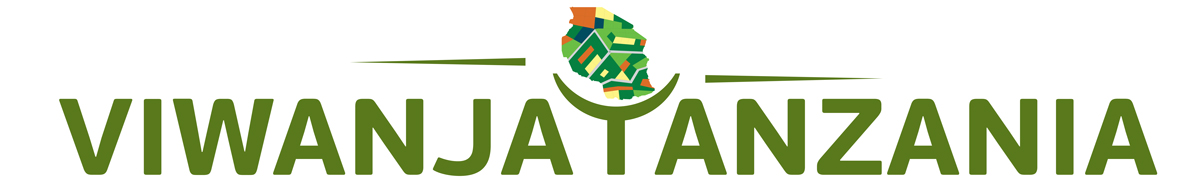 ViwanjaTanzania Logo